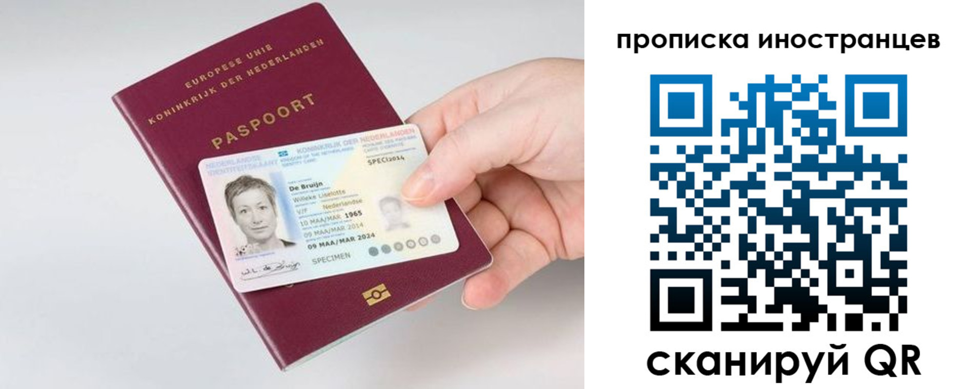 прописка штамп в Пролетарске